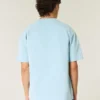 Boxy Heavyweight Oasis Graphic Tee