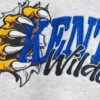 Boxy University of Kentucky Wildcats Graphic Hoodie Boxy University of Kentucky Wildcats Graphic Hoodie